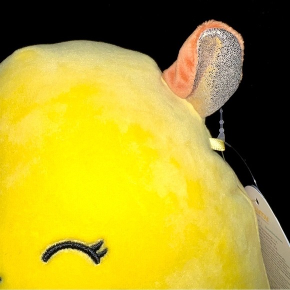 NWT 🥀 Bijan 8” Squishmallow - Picture 2 of 5